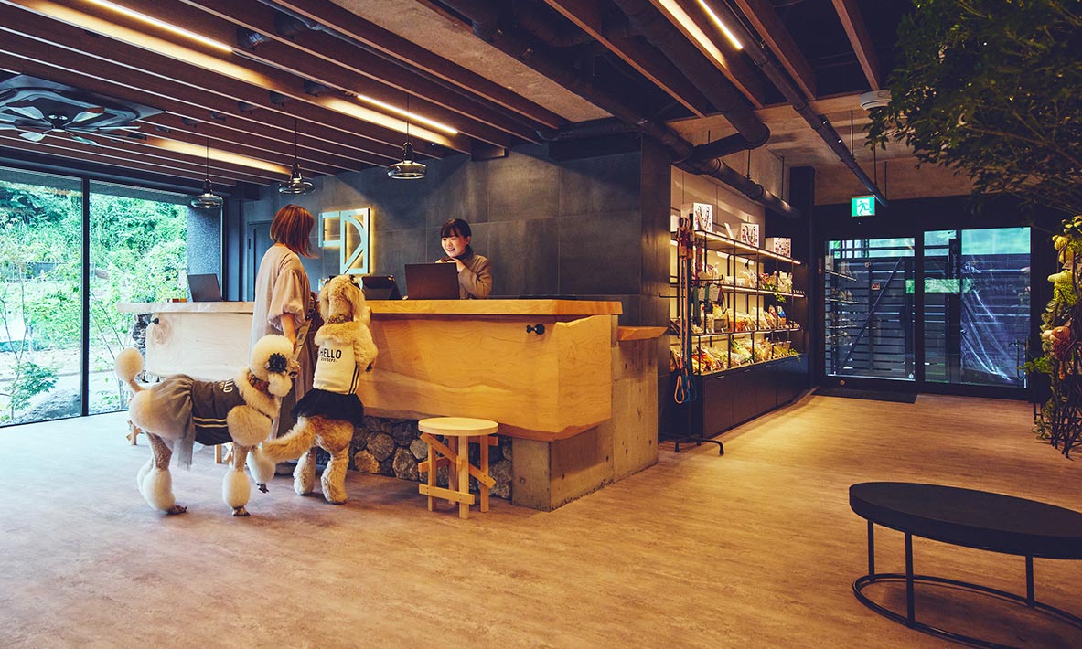 愛犬と泊まれる静岡市泉ヶ谷のホテル［1HOTEL］